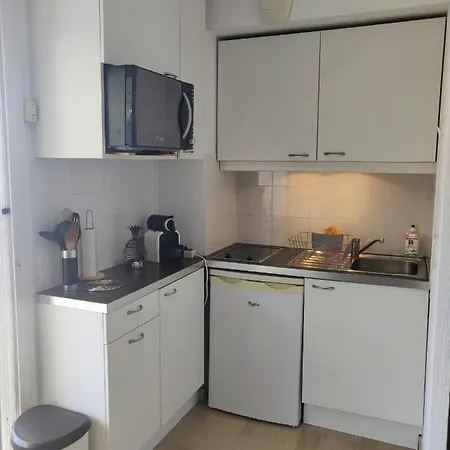 Apartament Terrasse Nicea